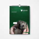 KALENDARZ BJEŻ MNIE ŚCIENNY