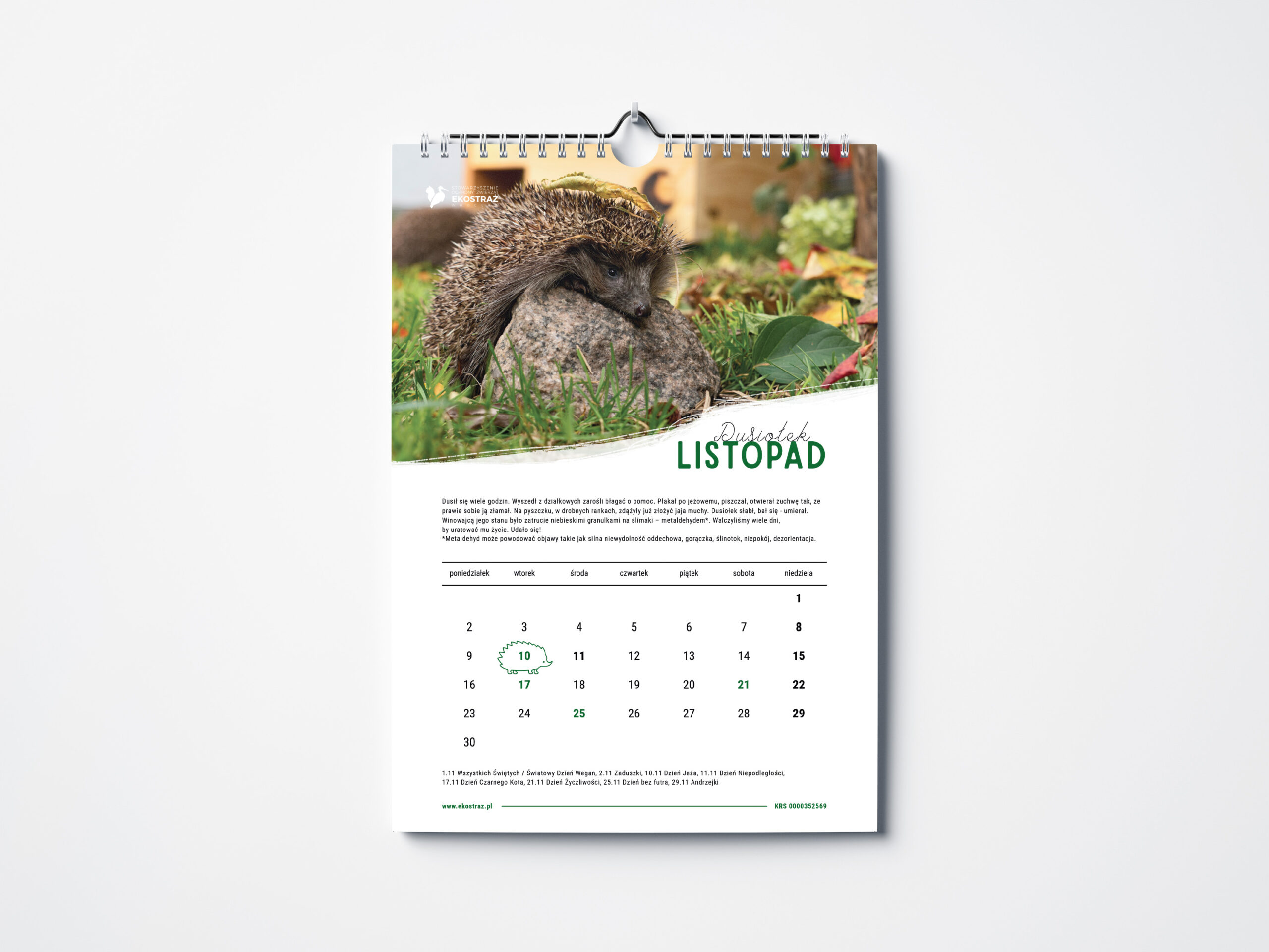 KALENDARZ BJEŻ MNIE ŚCIENNY - obrazek 3