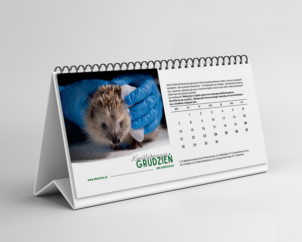KALENDARZ BJEŻ MNIE BIURKOWY - obrazek 3