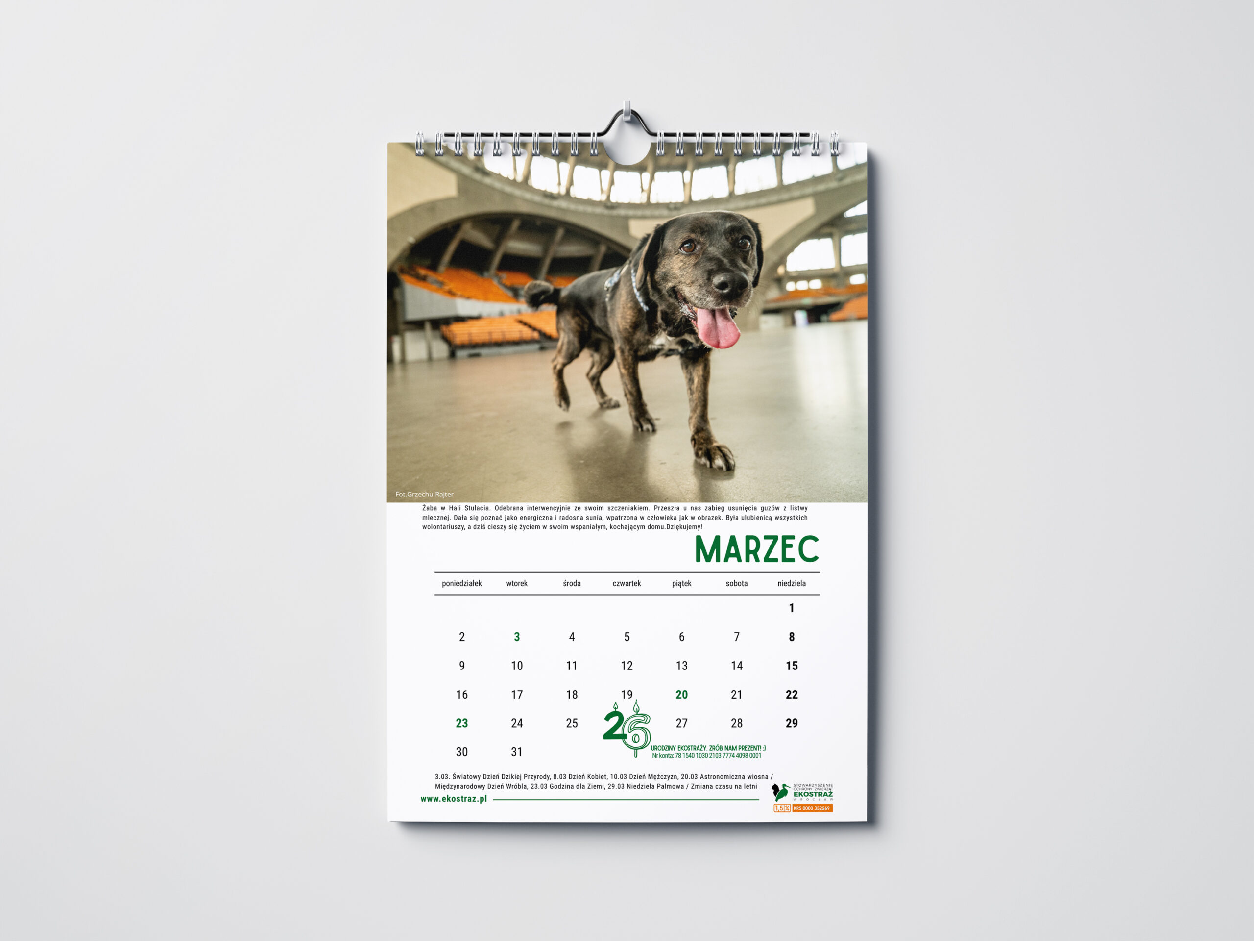KALENDARZ PSY WROCŁAW ŚCIENNY - obrazek 2