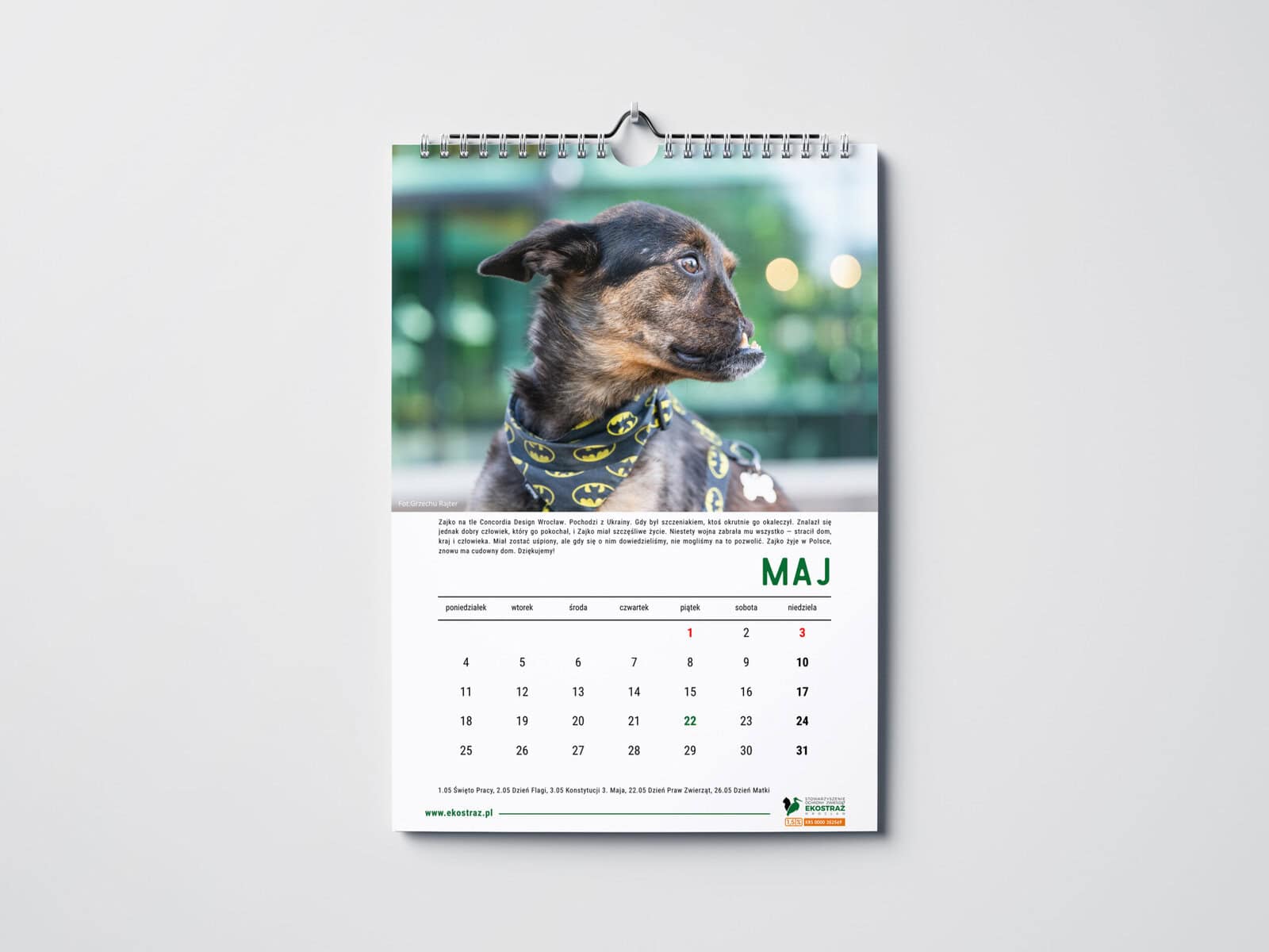 KALENDARZ PSY WROCŁAW ŚCIENNY - obrazek 3