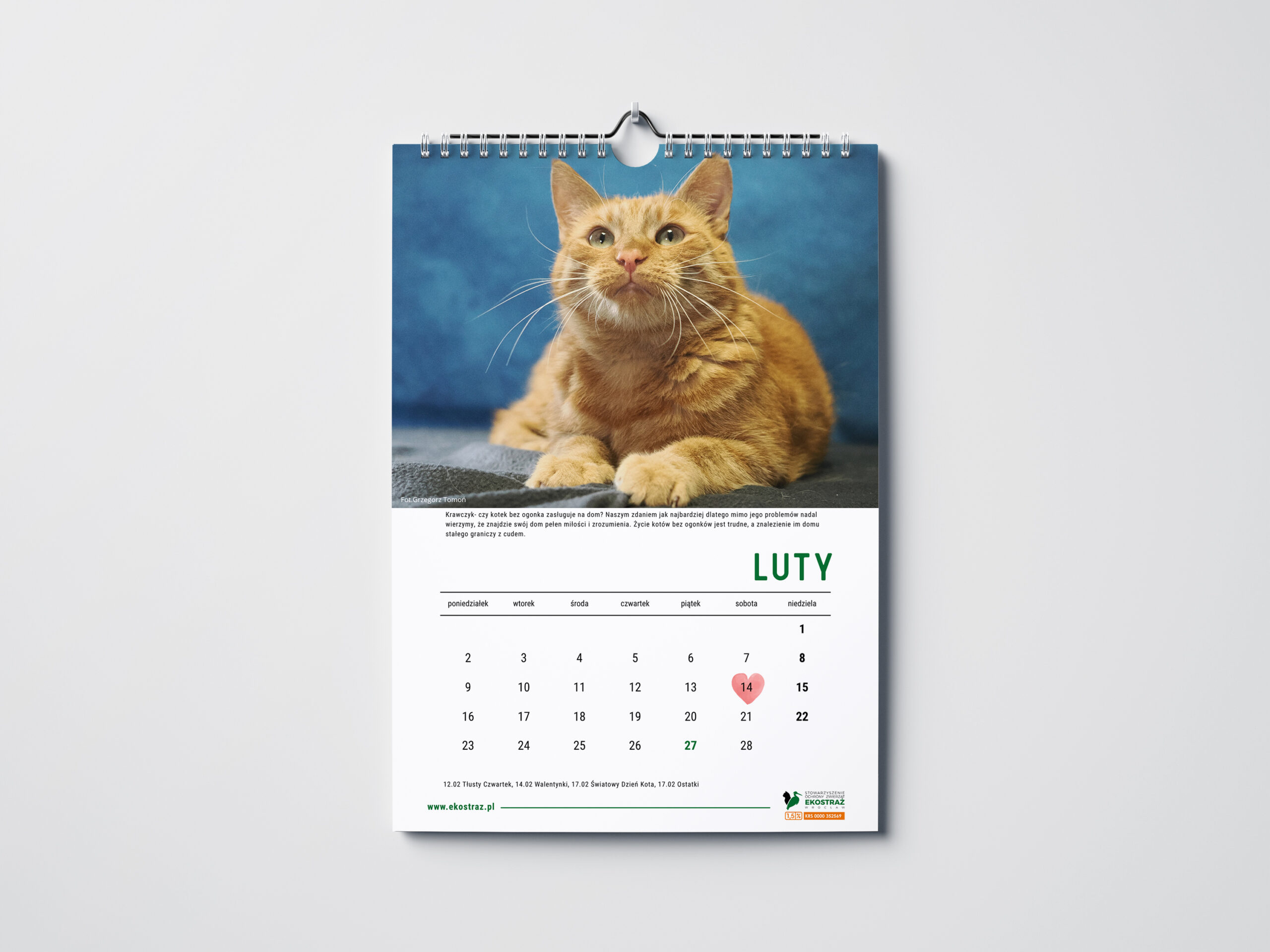 KALENDARZ KOTY ŚCIENNY - obrazek 4