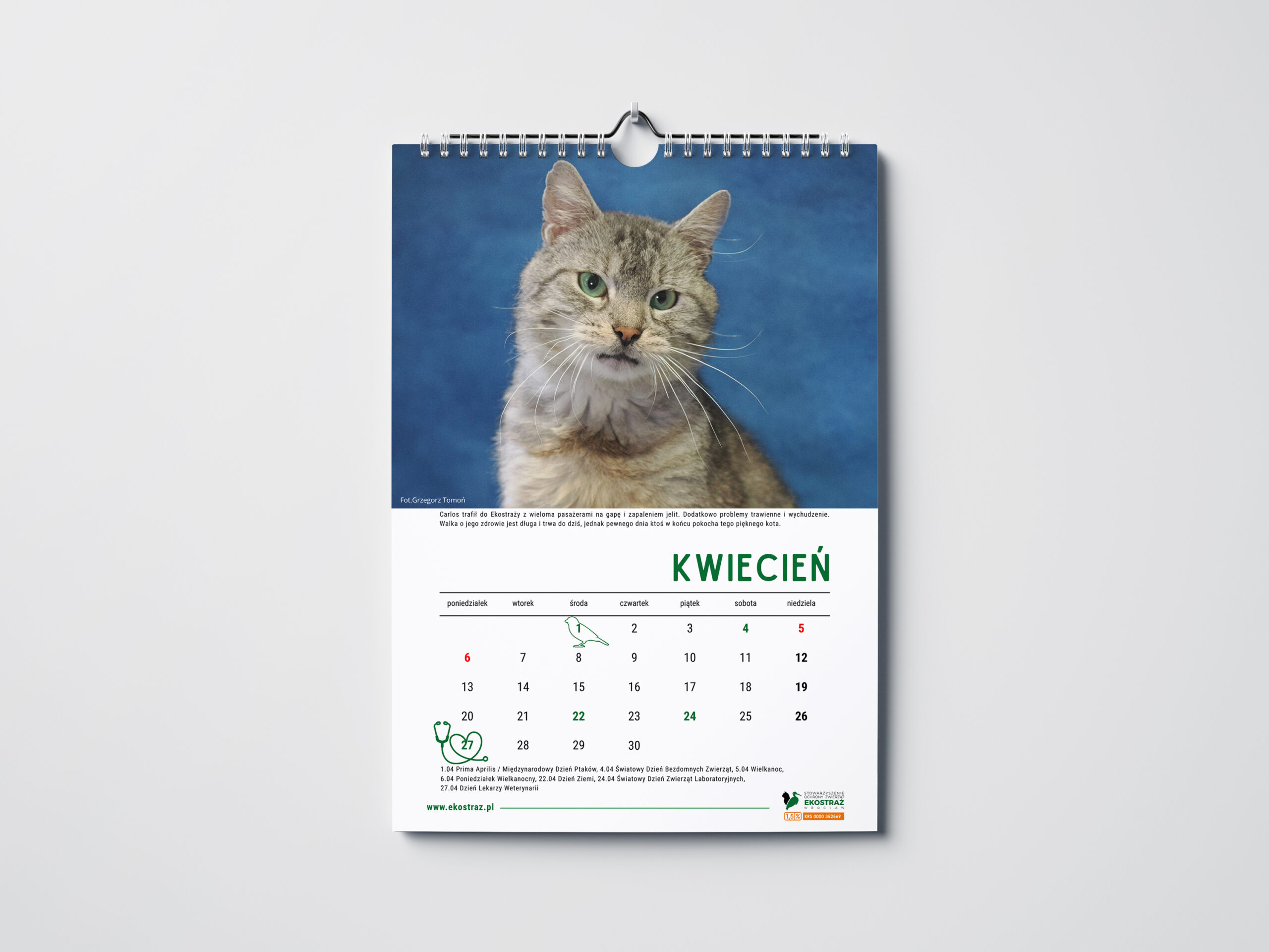 KALENDARZ KOTY ŚCIENNY - obrazek 2