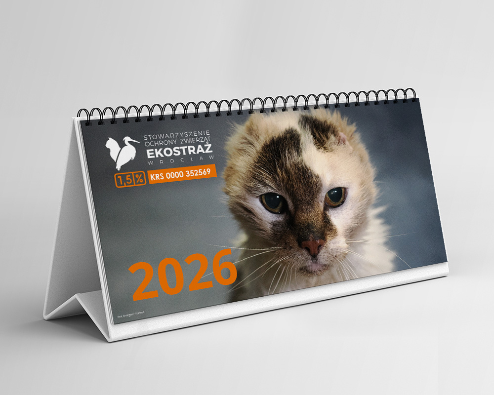 KALENDARZ KOTY BIURKOWY
