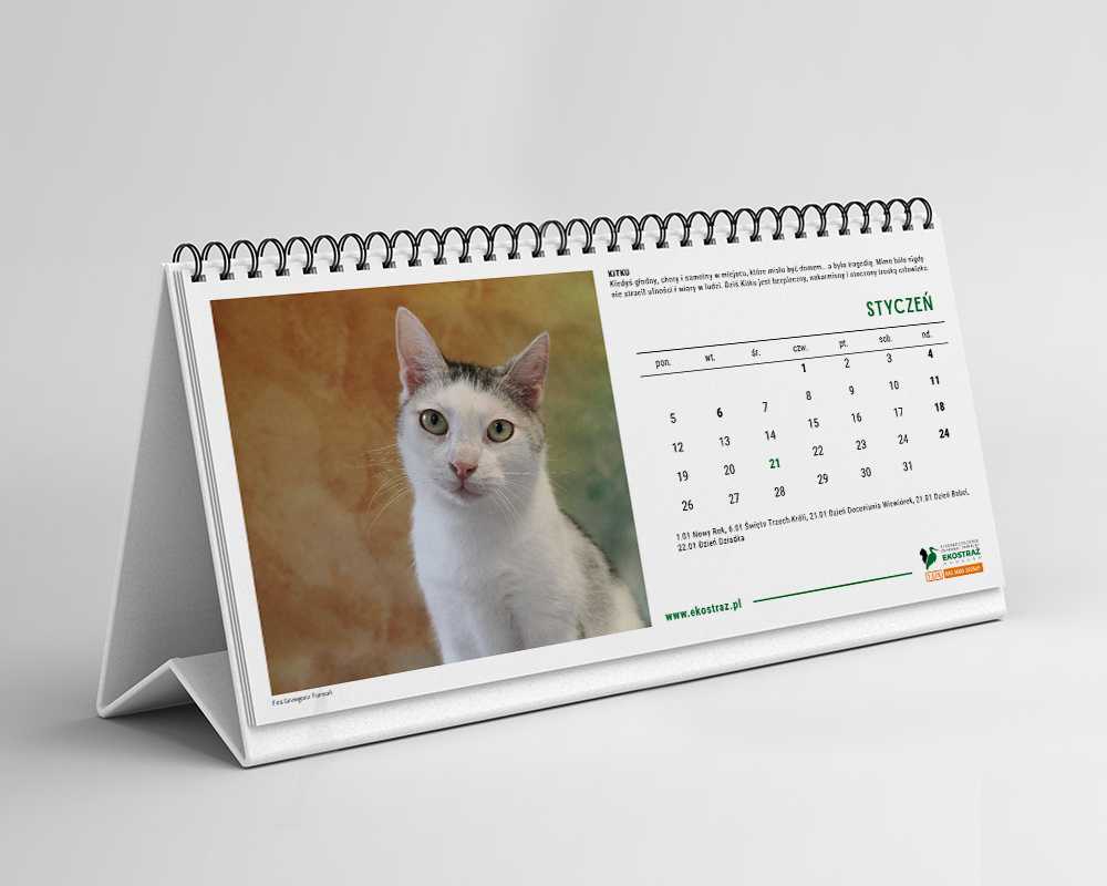KALENDARZ KOTY BIURKOWY - obrazek 2
