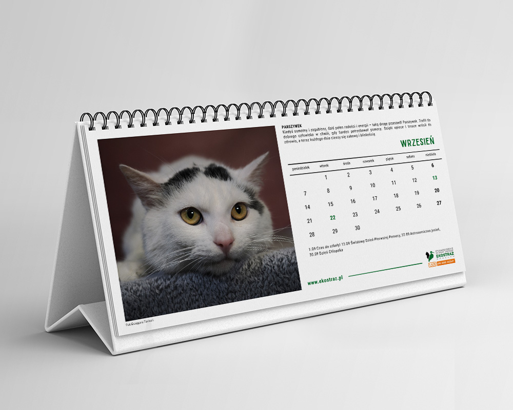 KALENDARZ KOTY BIURKOWY - obrazek 3