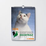 KALENDARZ KOTY ŚCIENNY