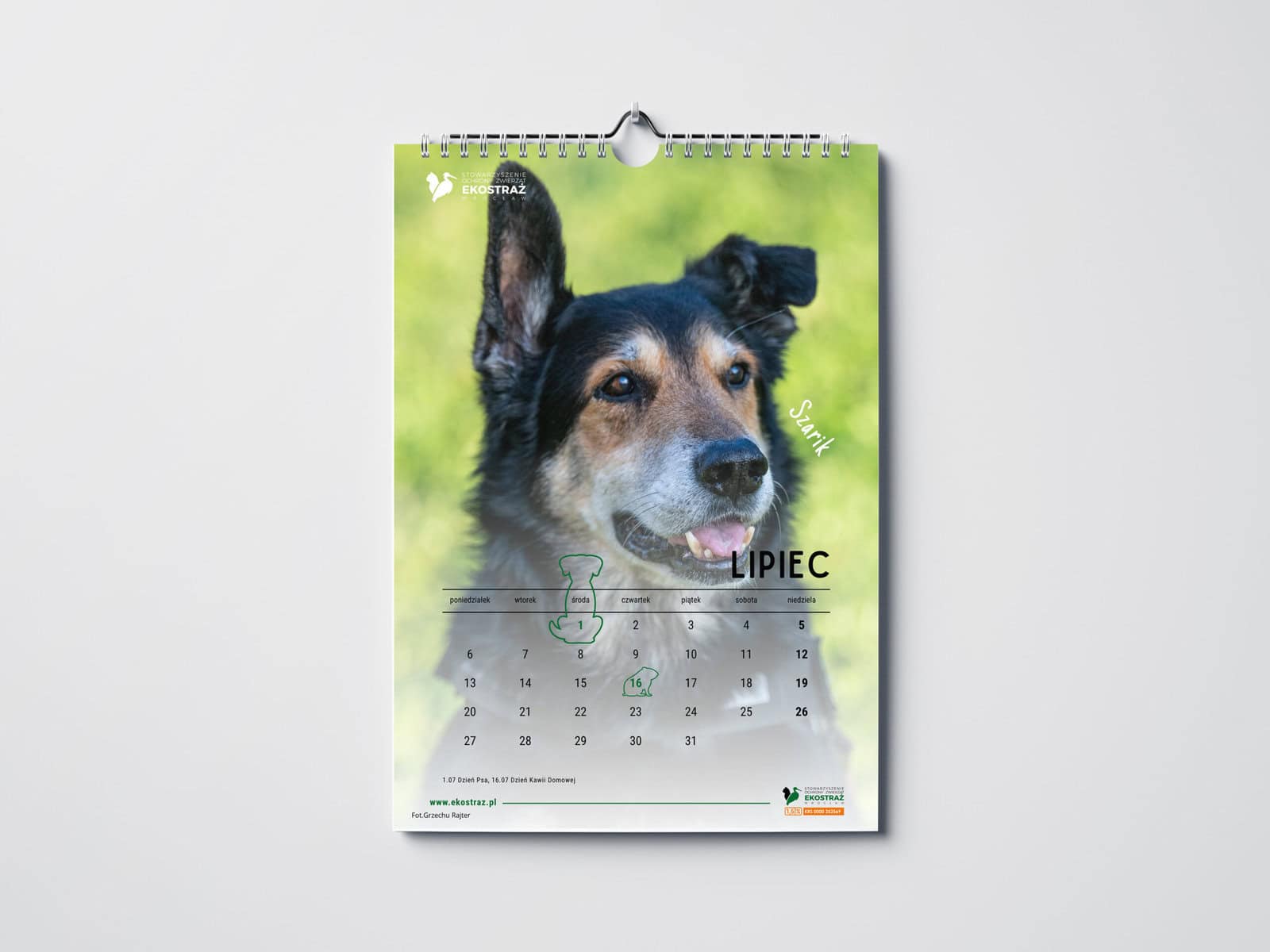KALENDARZ PSY EKOSTRAŻY ŚCIENNY - obrazek 2