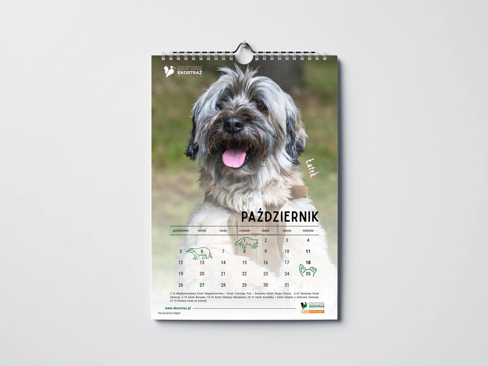 KALENDARZ PSY EKOSTRAŻY ŚCIENNY - obrazek 3