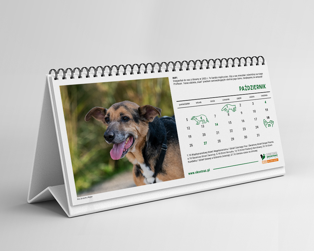 KALENDARZ PSY BIURKOWY - obrazek 3