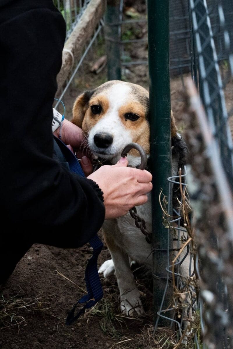 Stop łańcuchom 555673811 1363105445267055 2408430274487205605 n