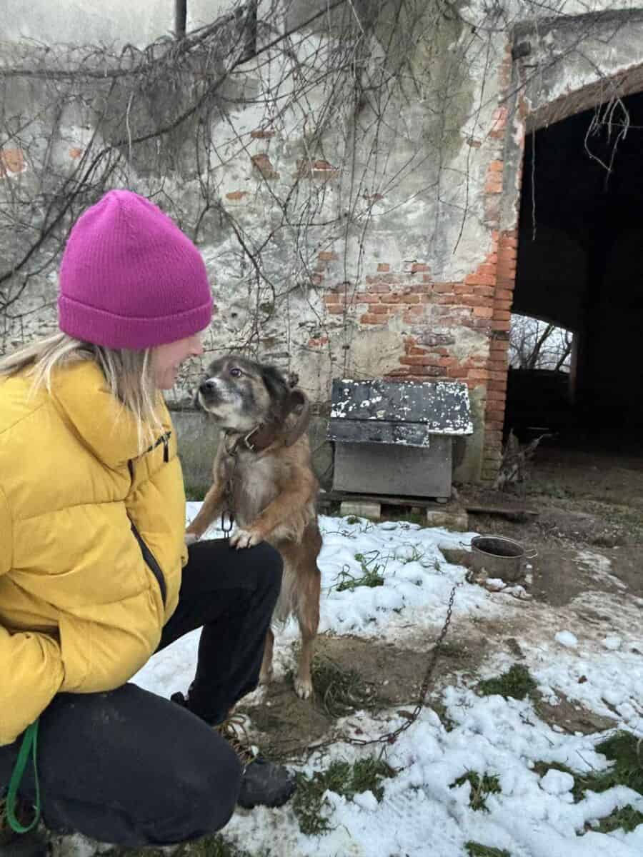 Stop łańcuchom 591198660 1417534933157439 2425168056979357611 n 1