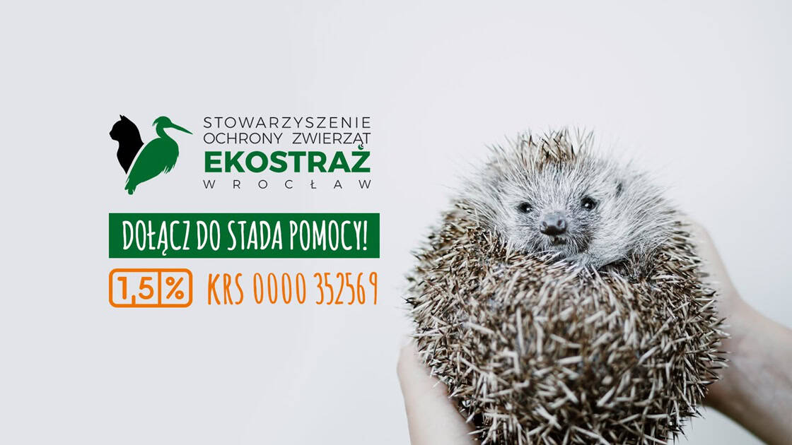 Strona główna przekaz 1 procent podatku ekostraz wroclaw jez 2