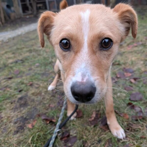 Keks WhatsApp Image 2026 02 13 at 13.21.17 1